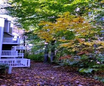 rockville Condo: 10703 hampton mill terrace