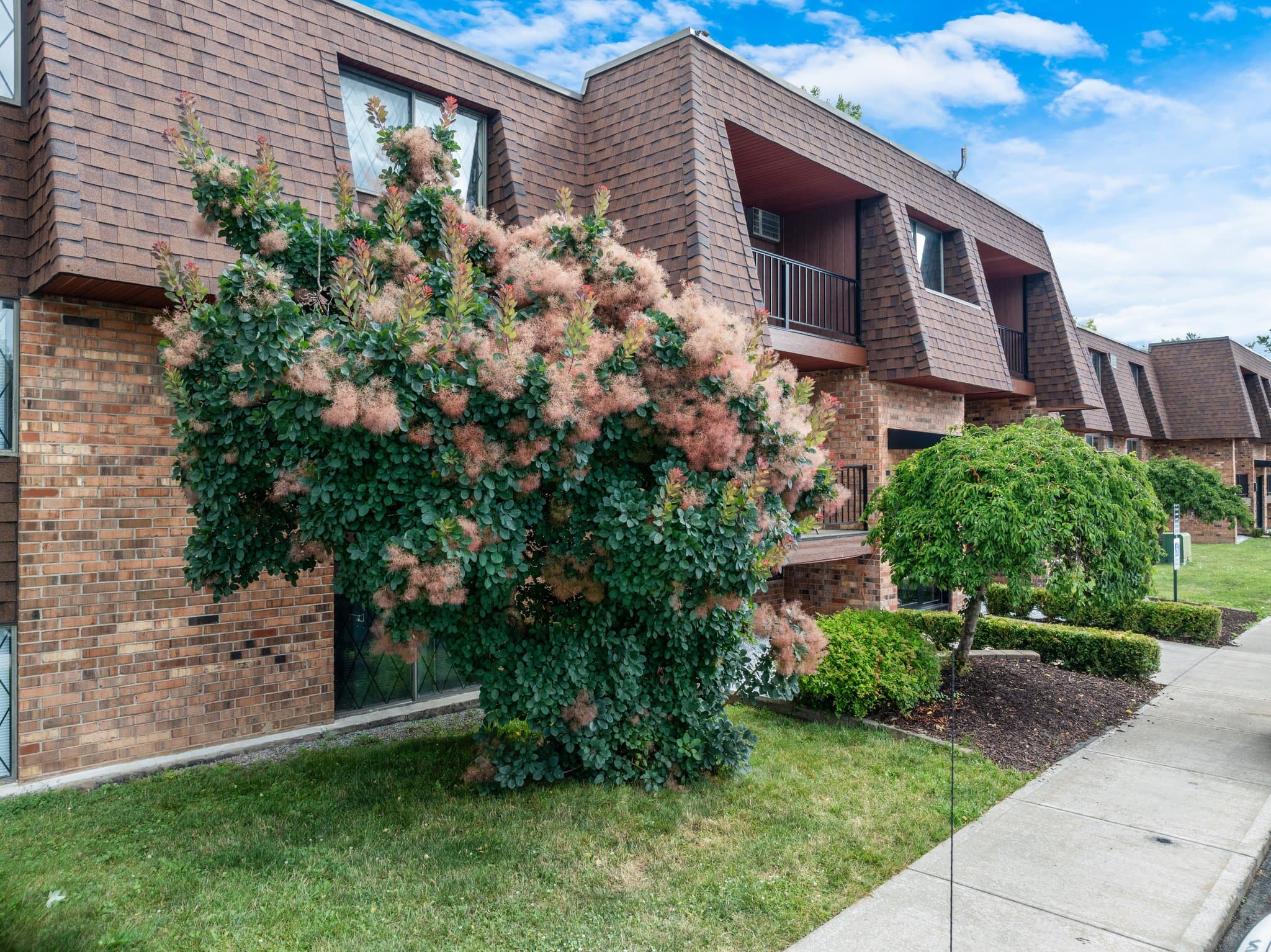 Liverpool Apartment: 7300 Cedar Post Rd