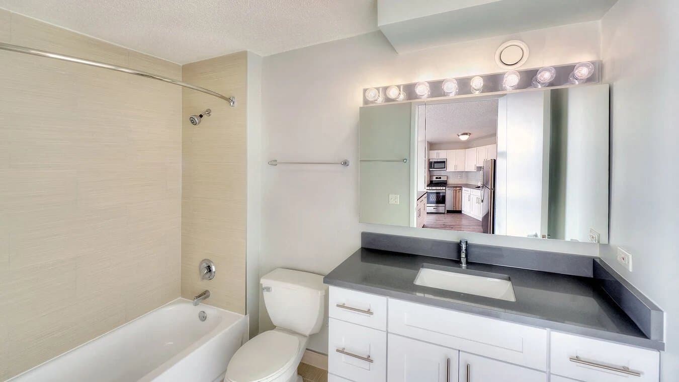 Chicago Condo: 12 W Grand Ave