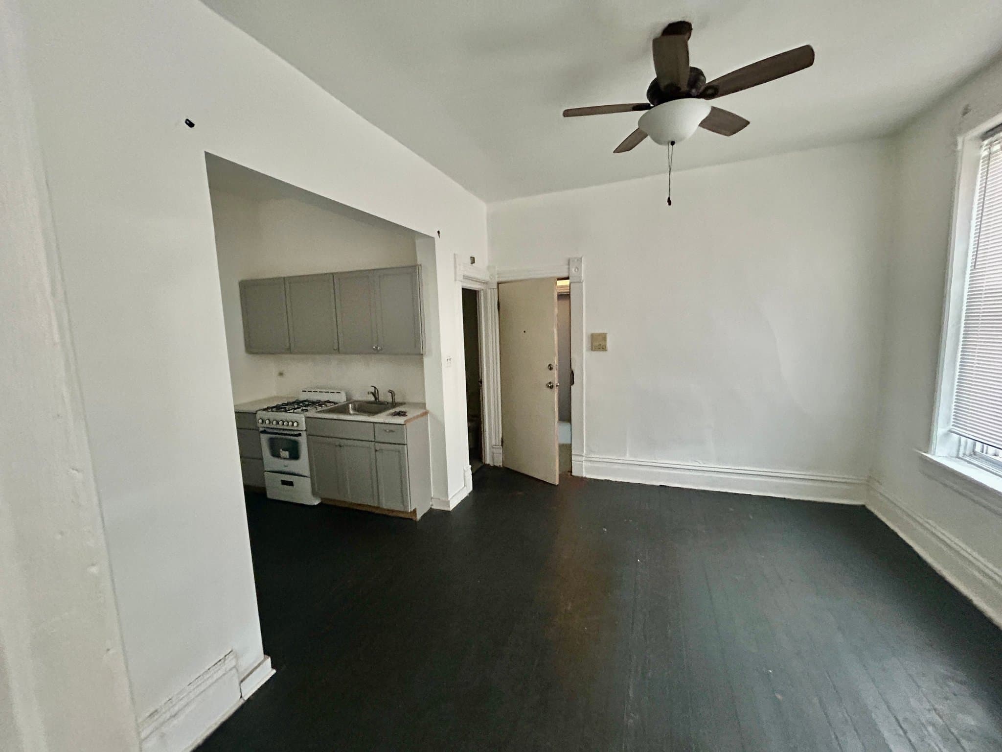 Chicago Apartment: 735 E 88th
