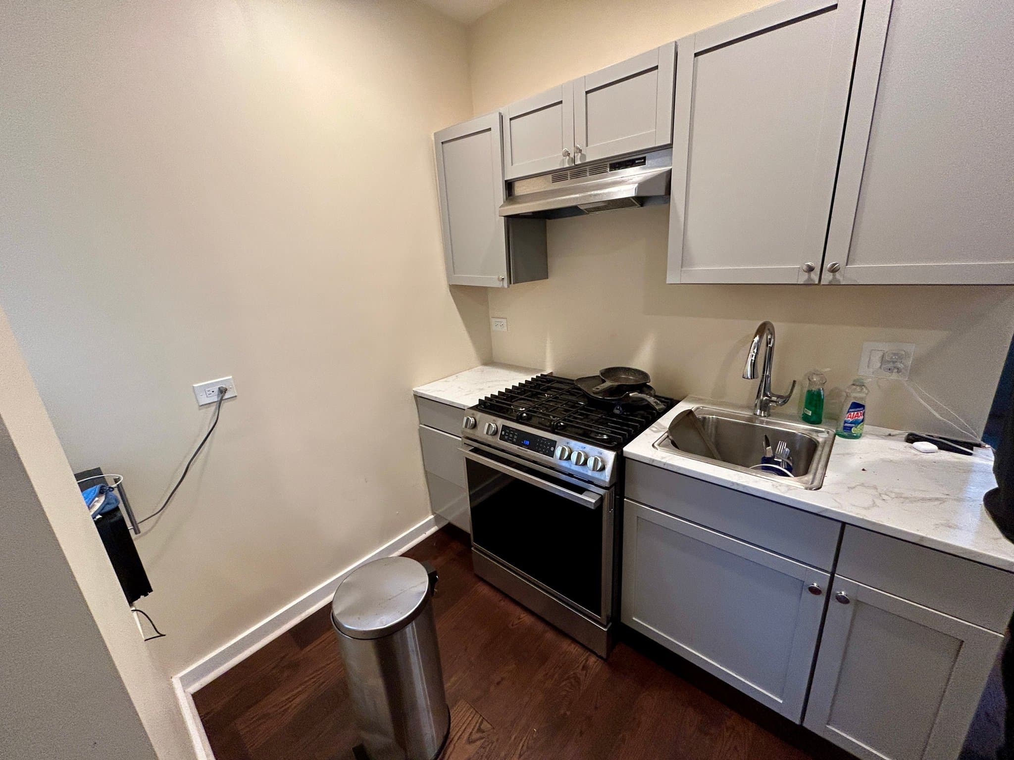 Chicago Apartment: 735 E 88th