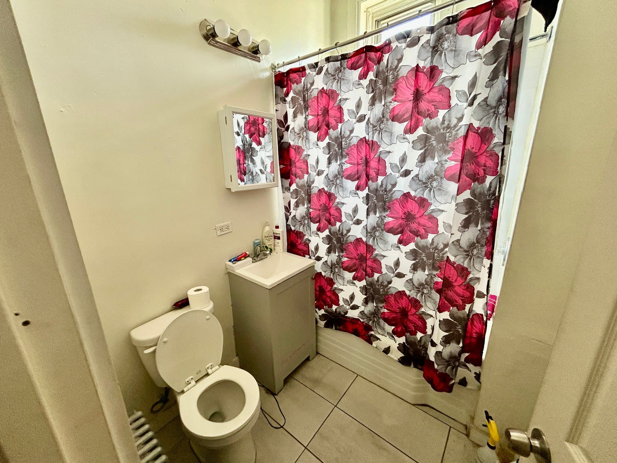 Chicago Apartment: 735 E 88th