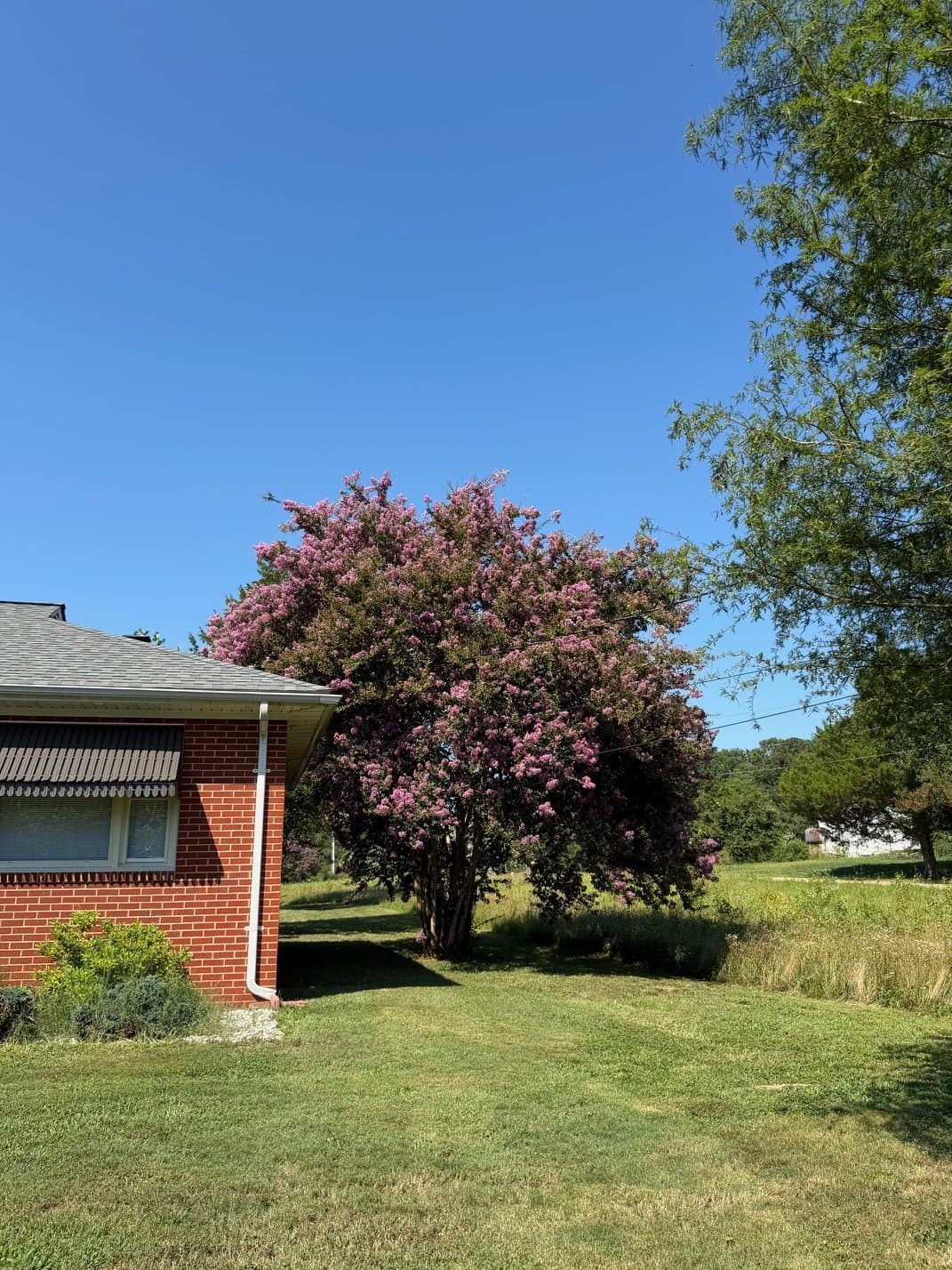 Henrico House: 518 E Washington St