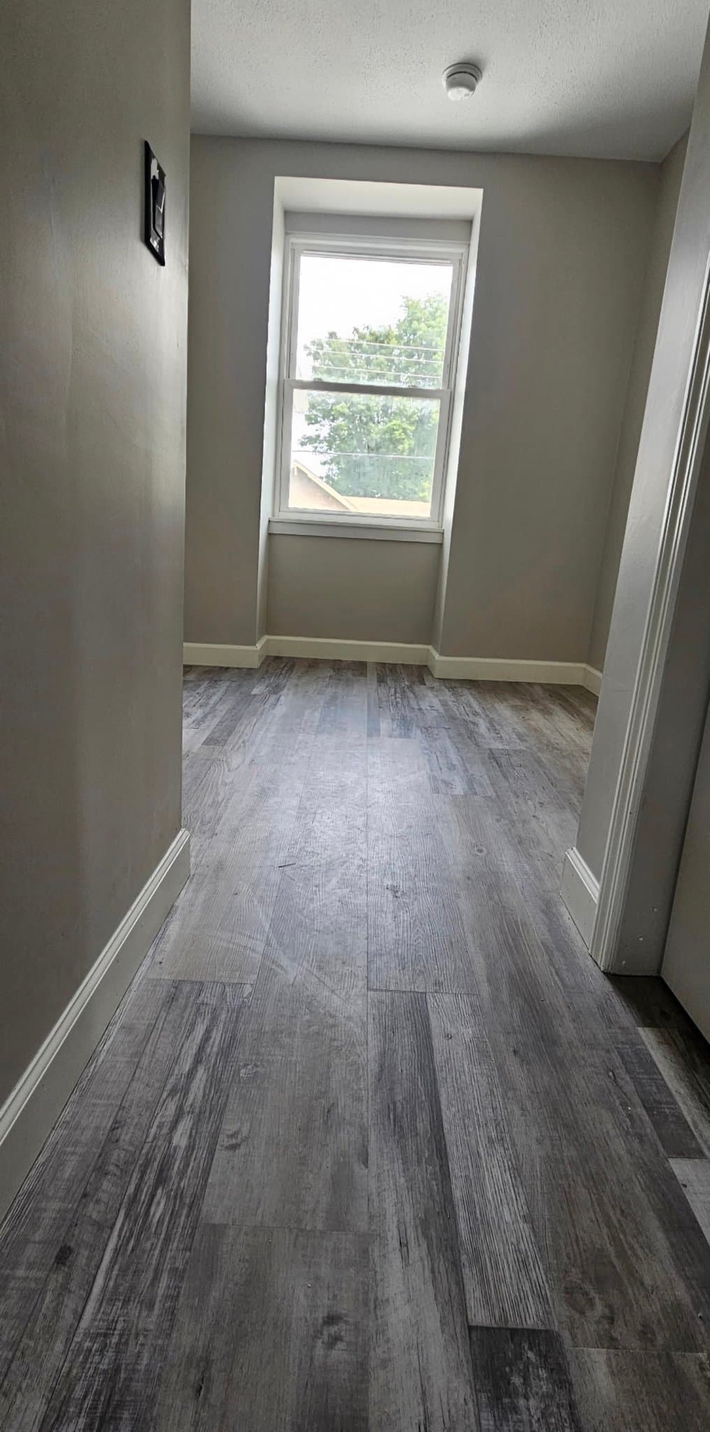 Muncie Apartment: 703 W Adams St