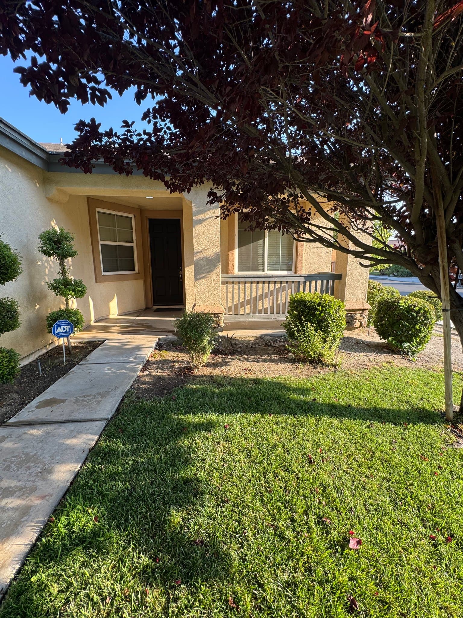 San Jacinto House: 2274 Purple Finch ct