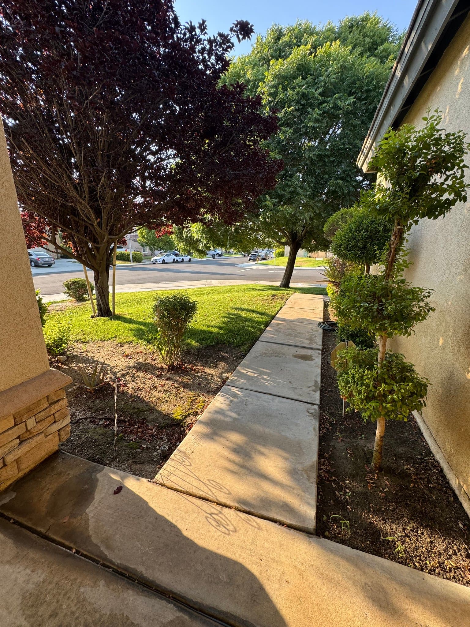 San Jacinto House: 2274 Purple Finch ct