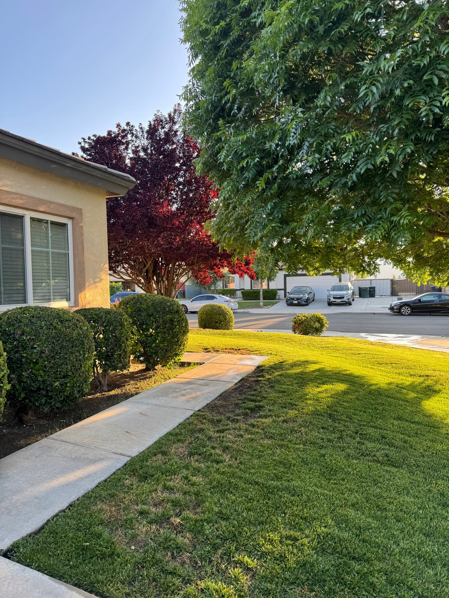 San Jacinto House: 2274 Purple Finch ct