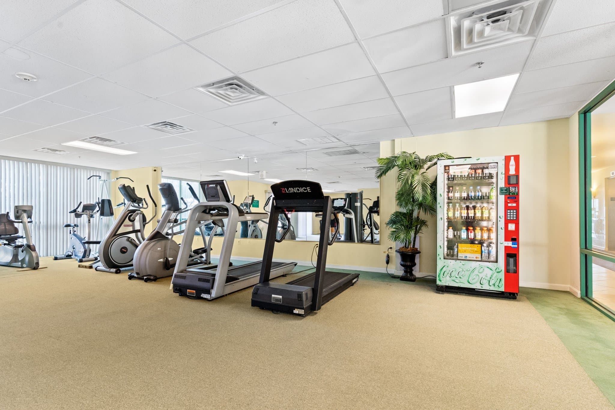 Ocean City Condo: 4201 Coastal Hwy