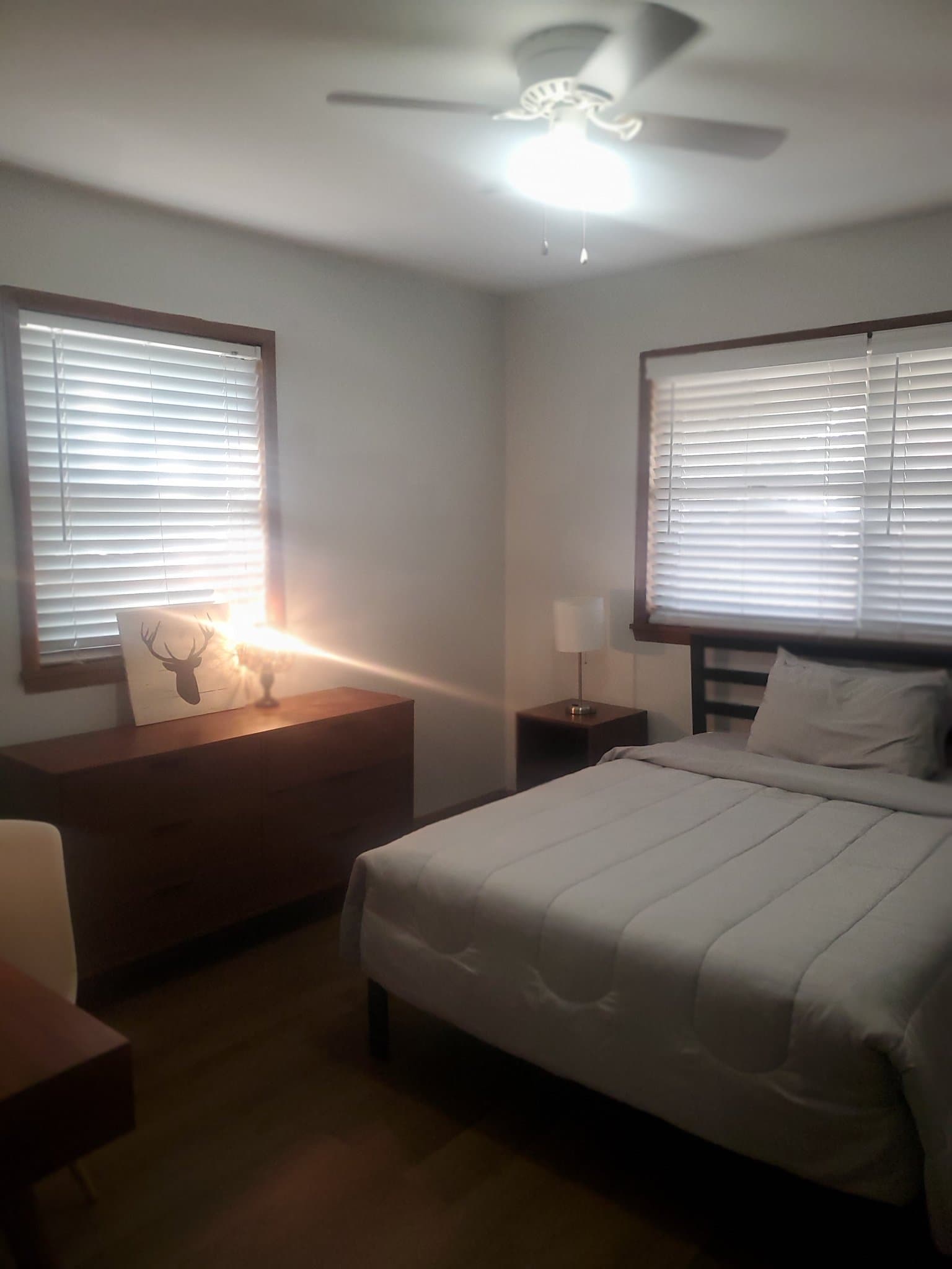 Springfield Apartment: 1215 E Elm