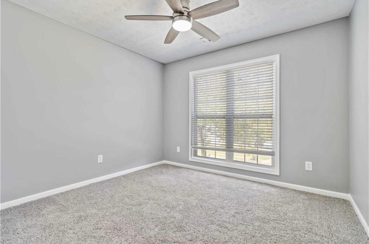 Dacula Multiplex: 1055 leighs brook way