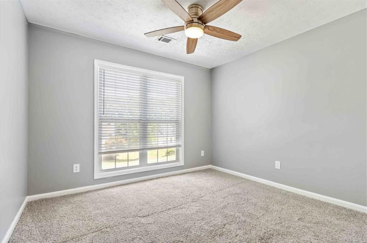 Dacula Multiplex: 1055 leighs brook way