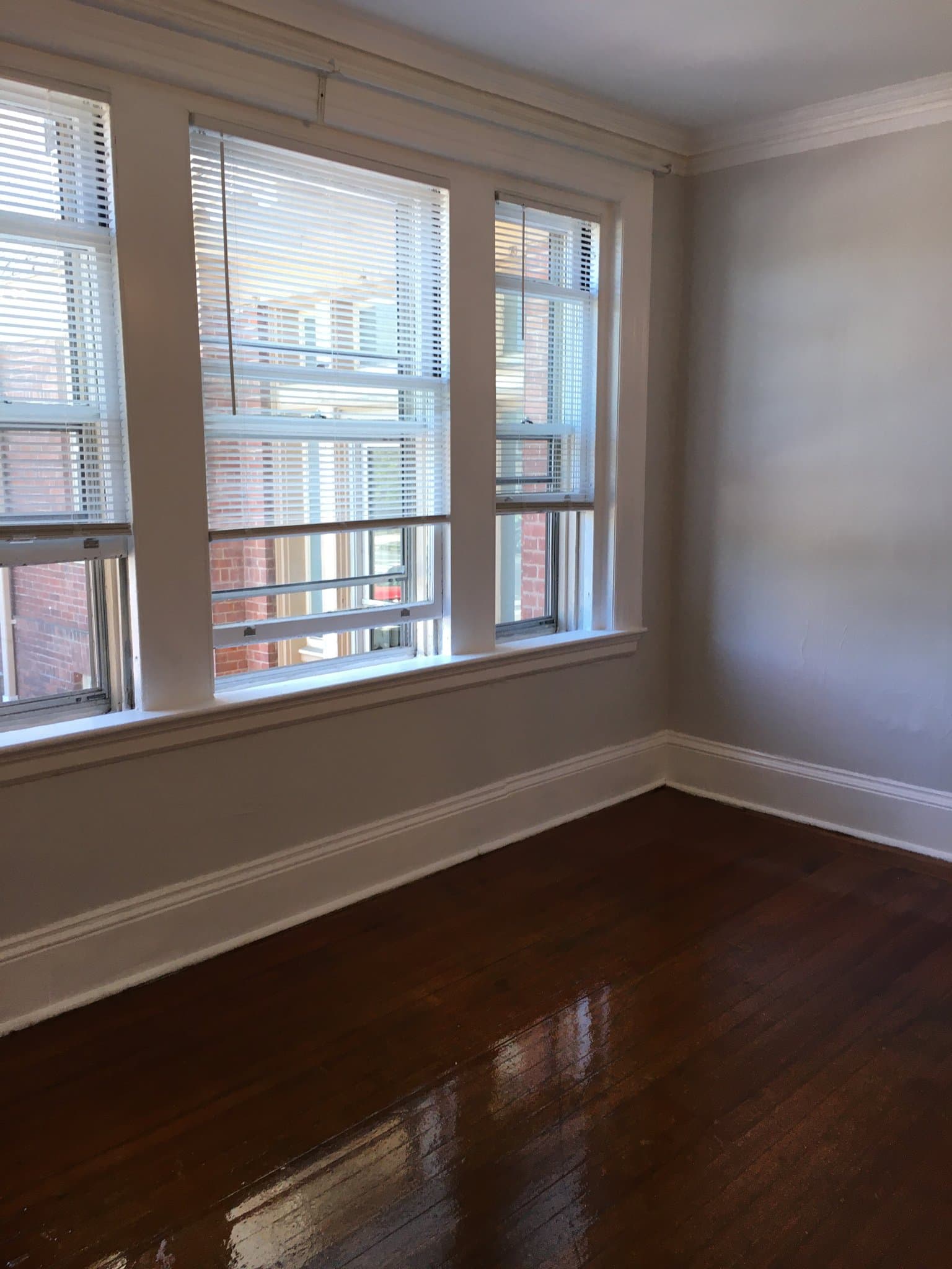 Providence Apartment: 374 Lloyd Ave