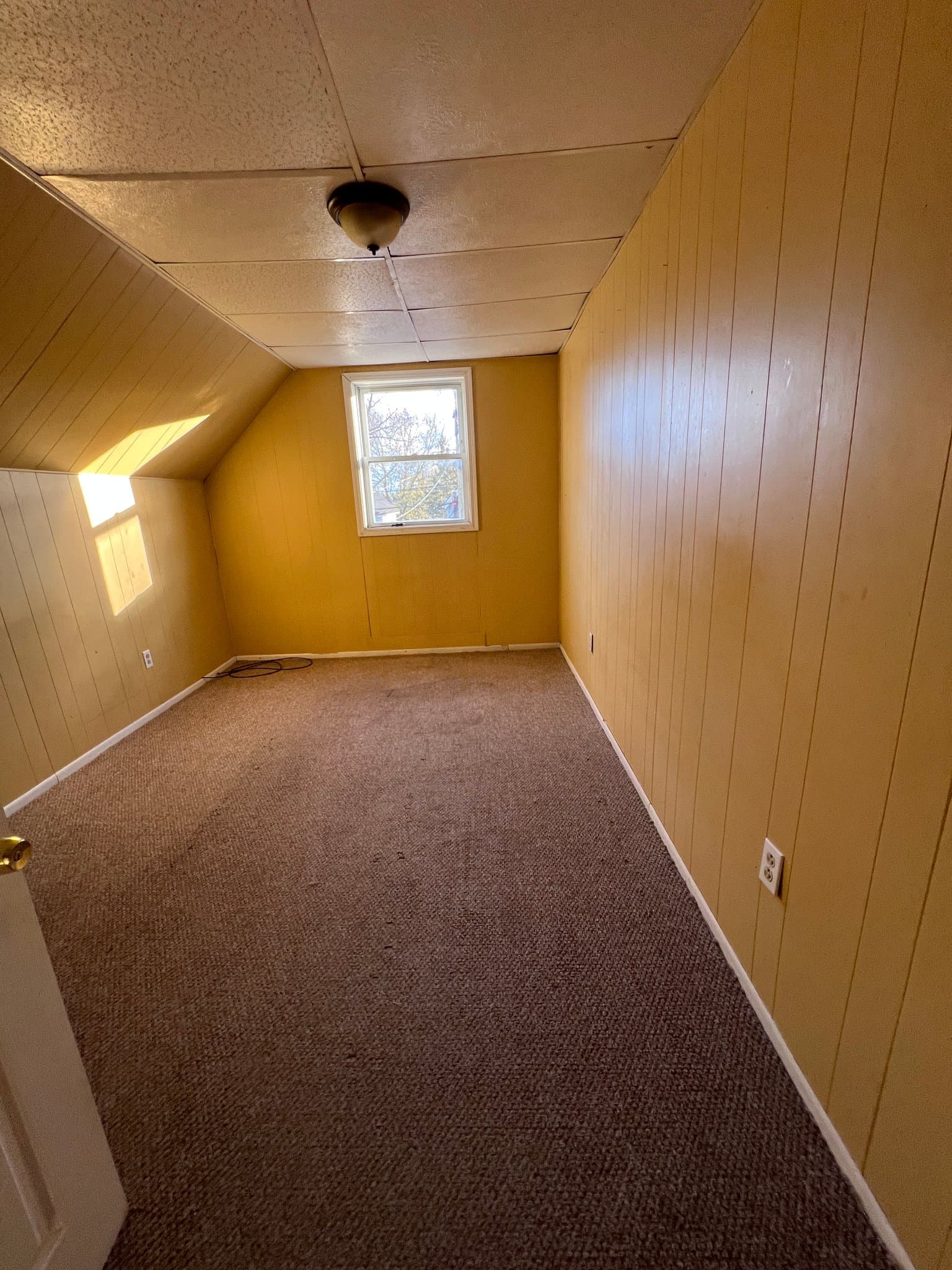 Buffalo Multiplex: 138 Reiman St