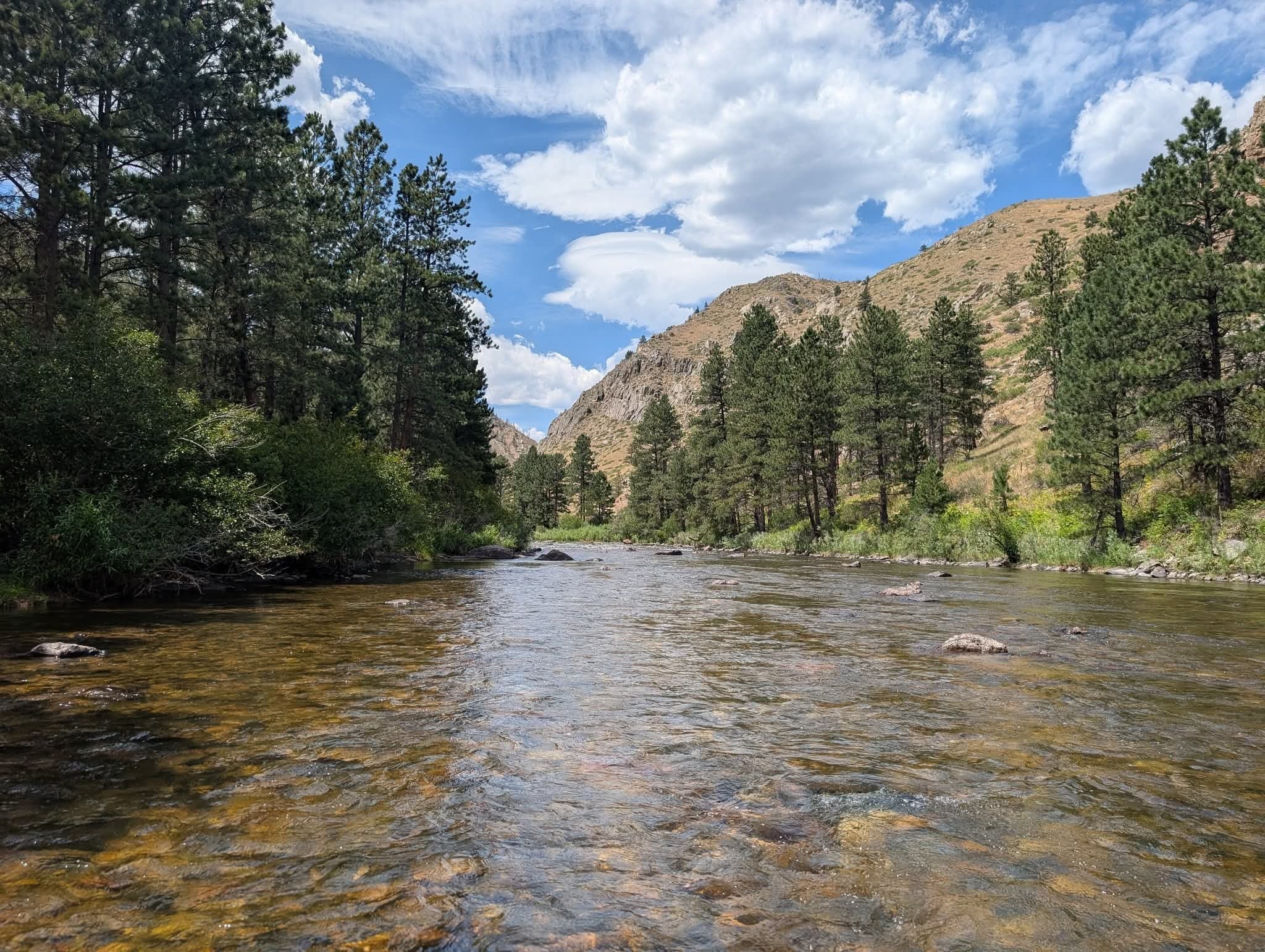 Bellvue House: 10313 Poudre Canyon Rd