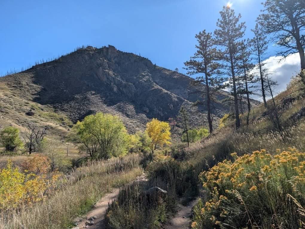 Bellvue House: 10313 Poudre Canyon Rd