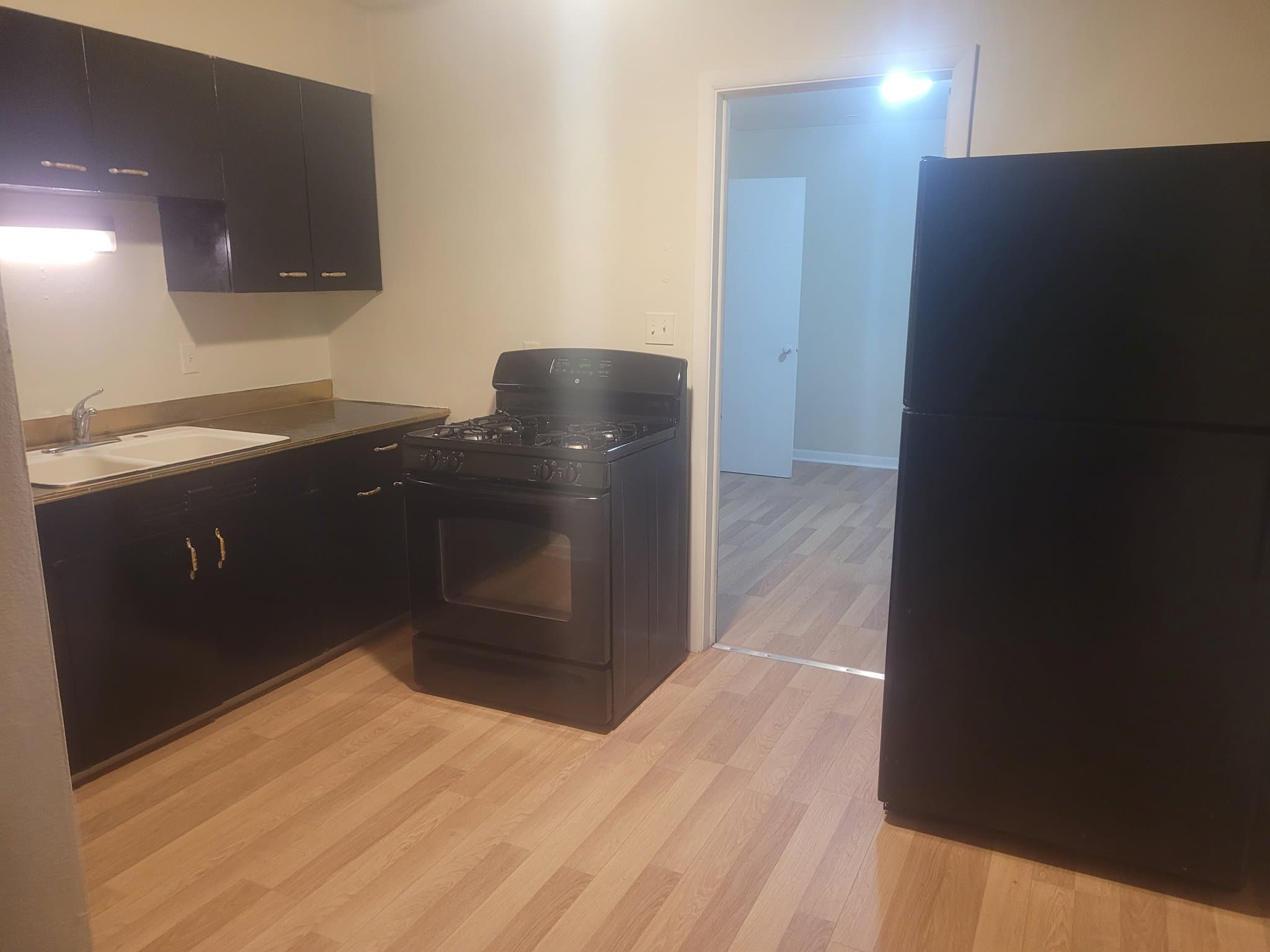 Rockford Apartment: 1005 Garfield Ave, Rockford IL