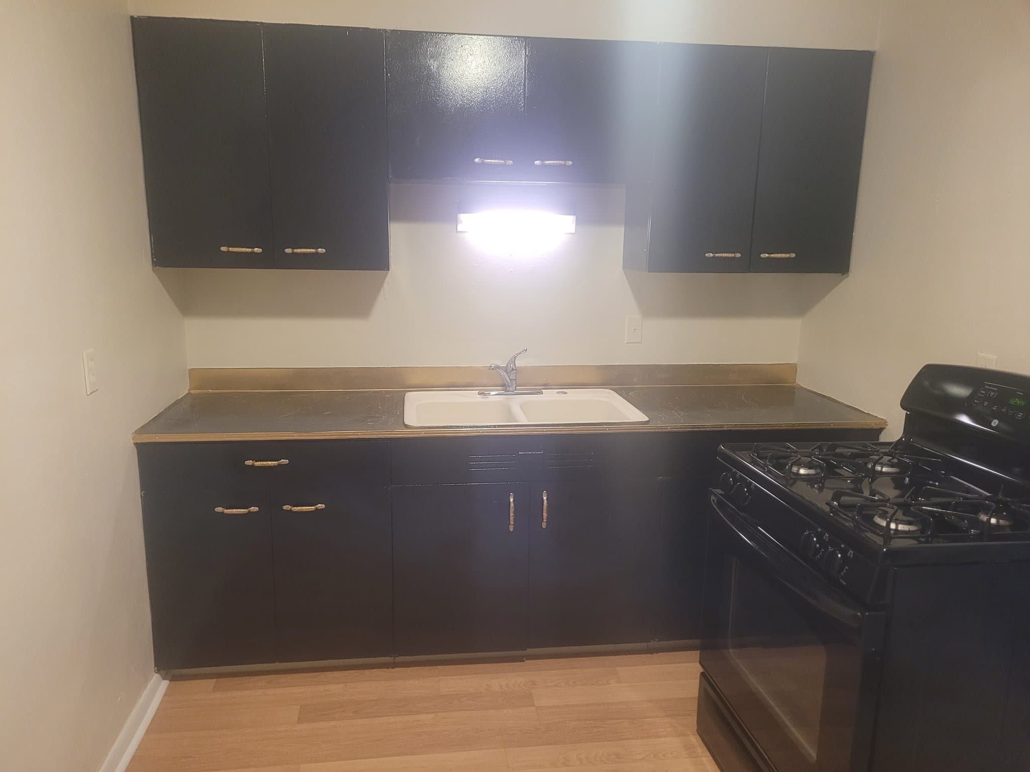 Rockford Apartment: 1005 Garfield Ave, Rockford IL