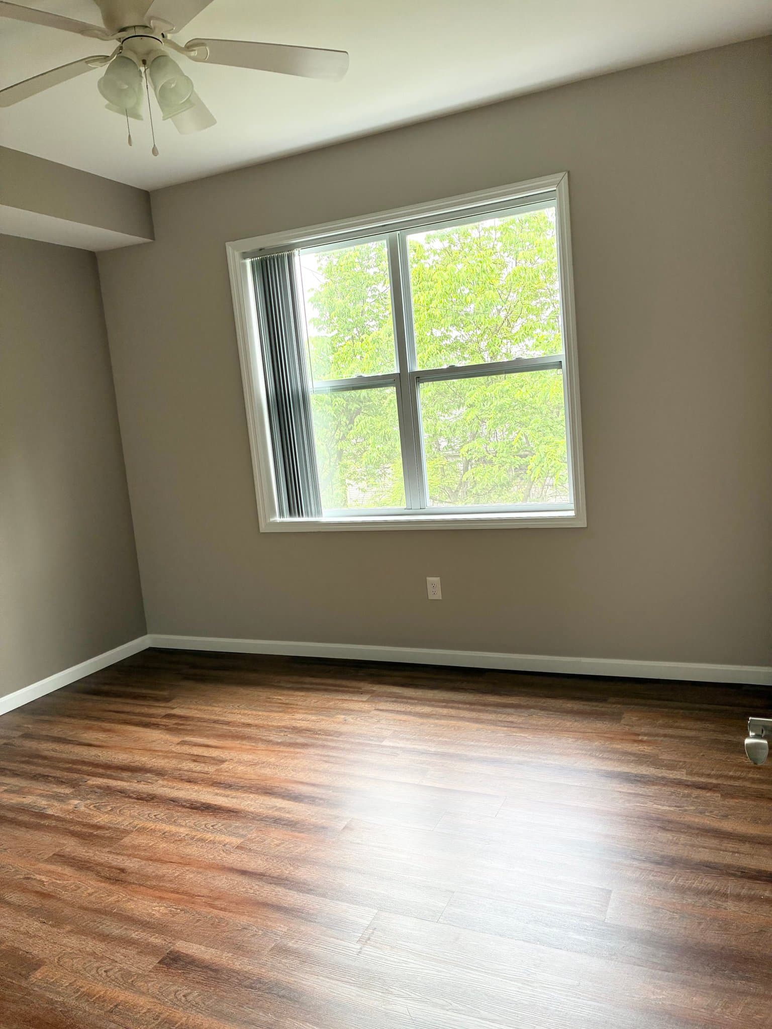 Cincinnati Apartment: 732 Ohio Pike