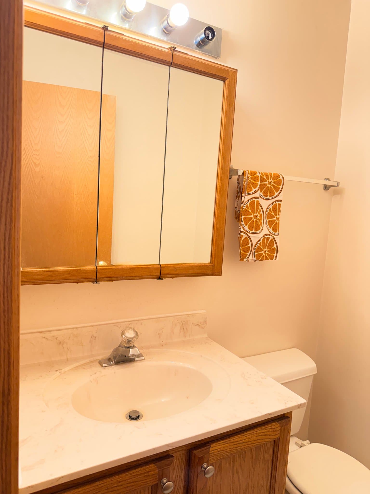 Chicago Townhome: 3400 S Wolcott