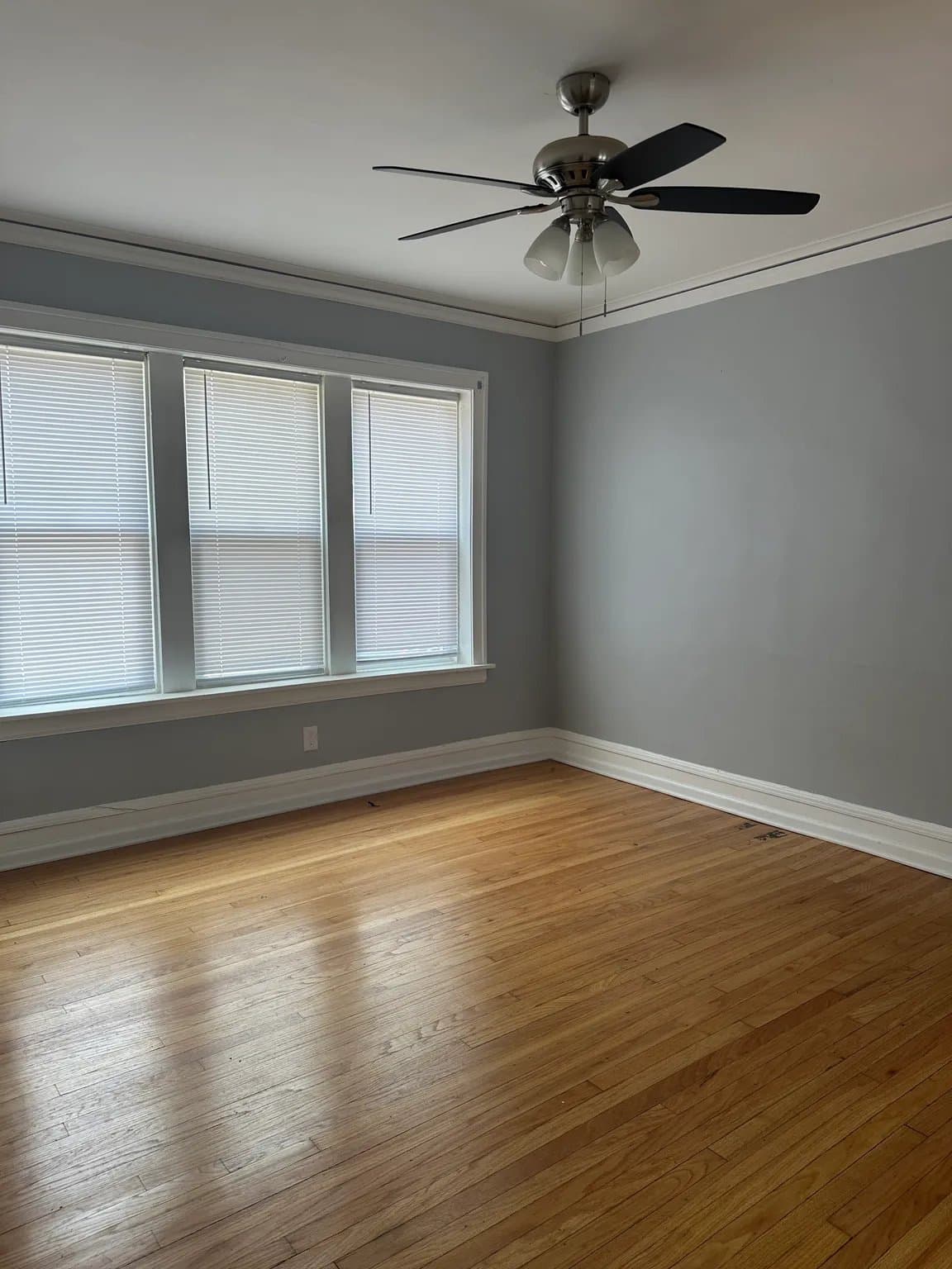 Chicago Apartment: 2416-22 N Kilbourn Ave