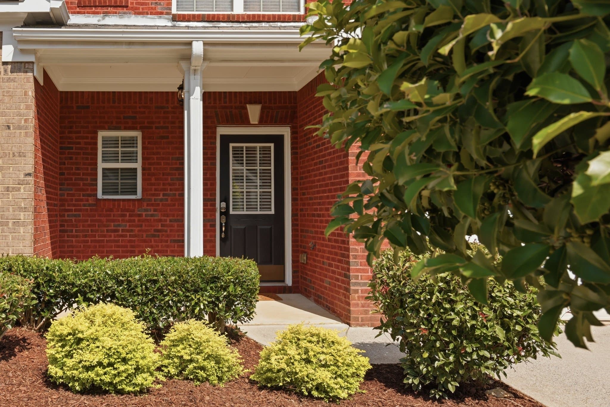 Kennesaw Townhome: 1813 Willow Branch Ln NW