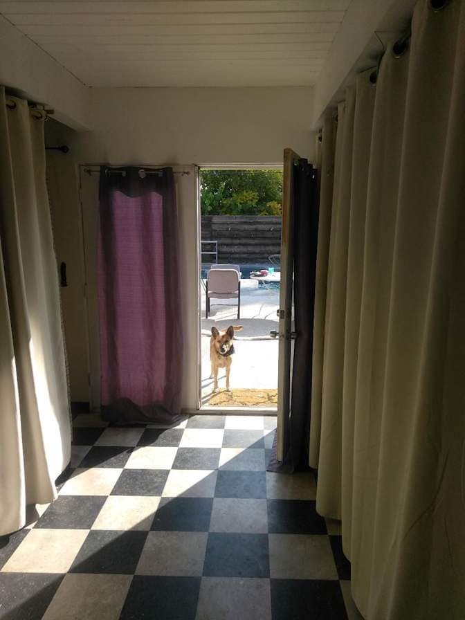 Las Vegas Single Room: 1937 Caballero Way