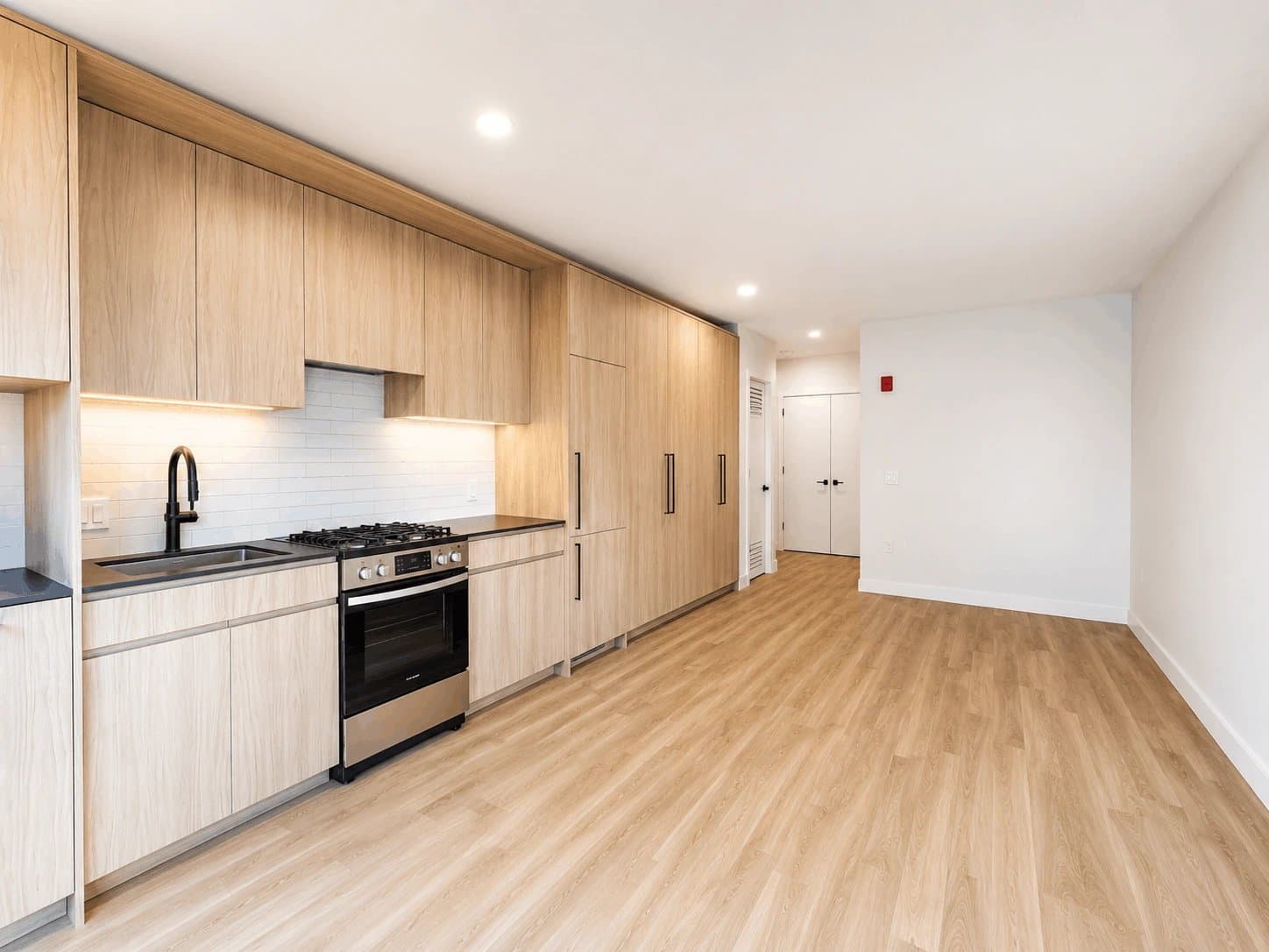 Chicago Condo: 221 N Ada