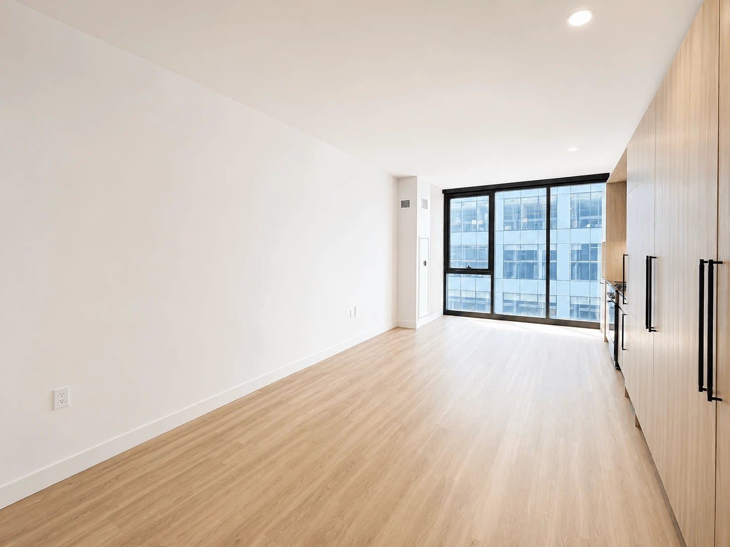 Chicago Condo: 221 N Ada