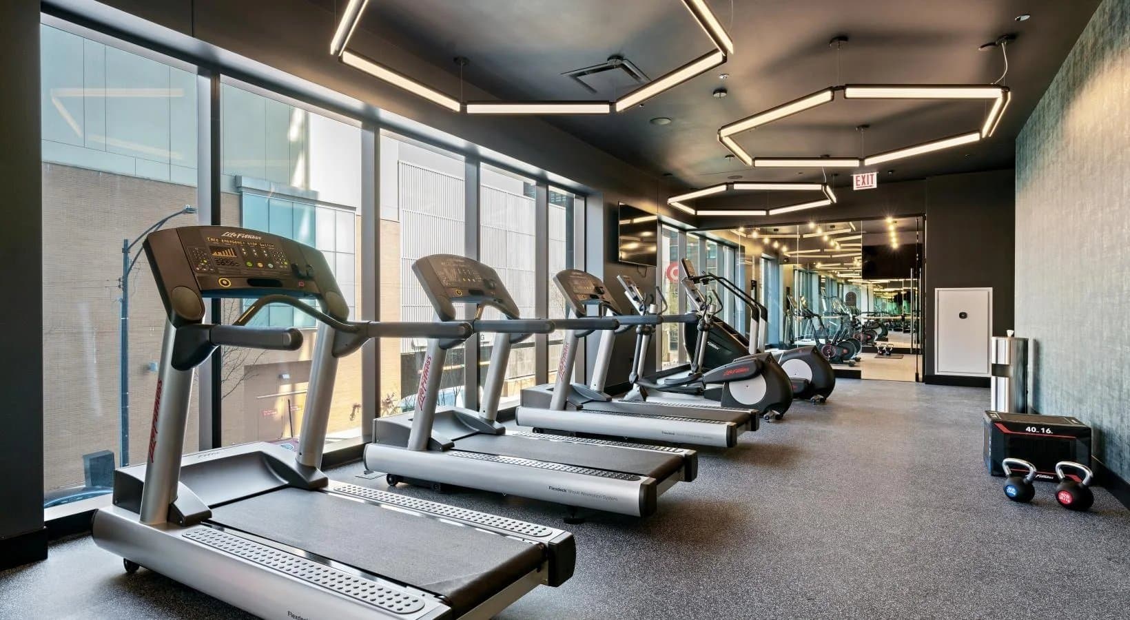 Chicago Condo: 1133 W Tilden St