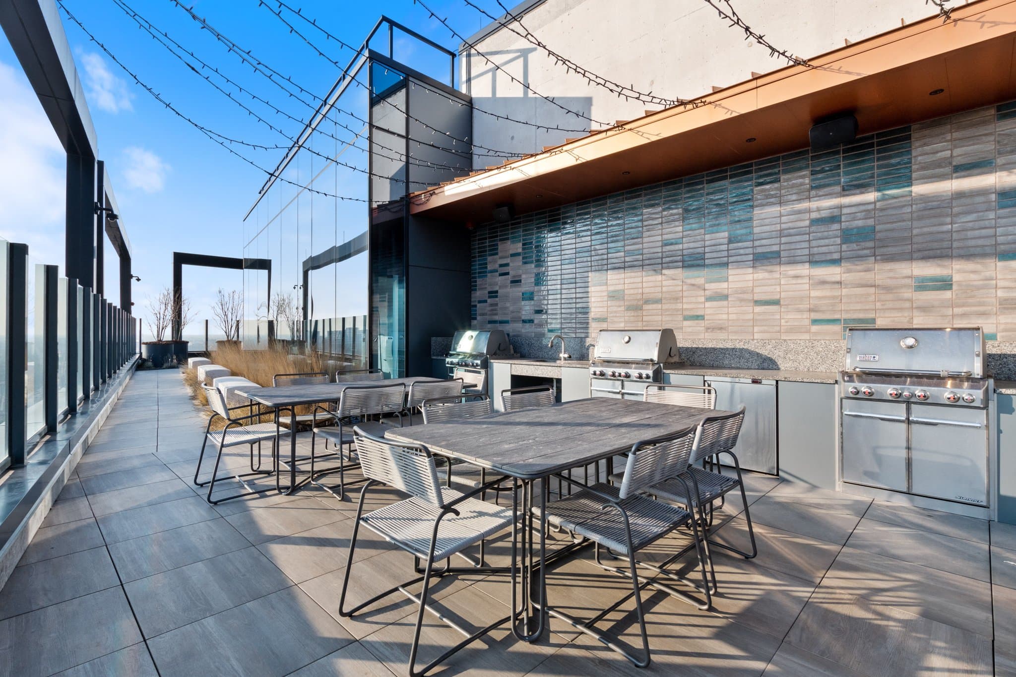 Chicago Condo: 1133 W Tilden St