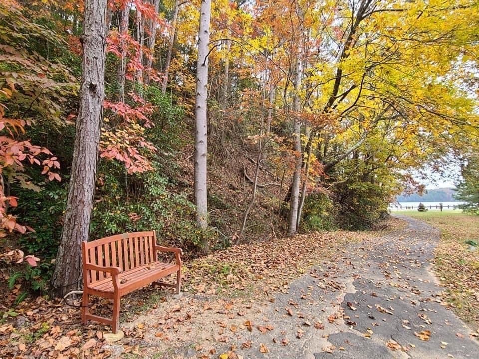 Waleska Condo: 29 Mountain View Court