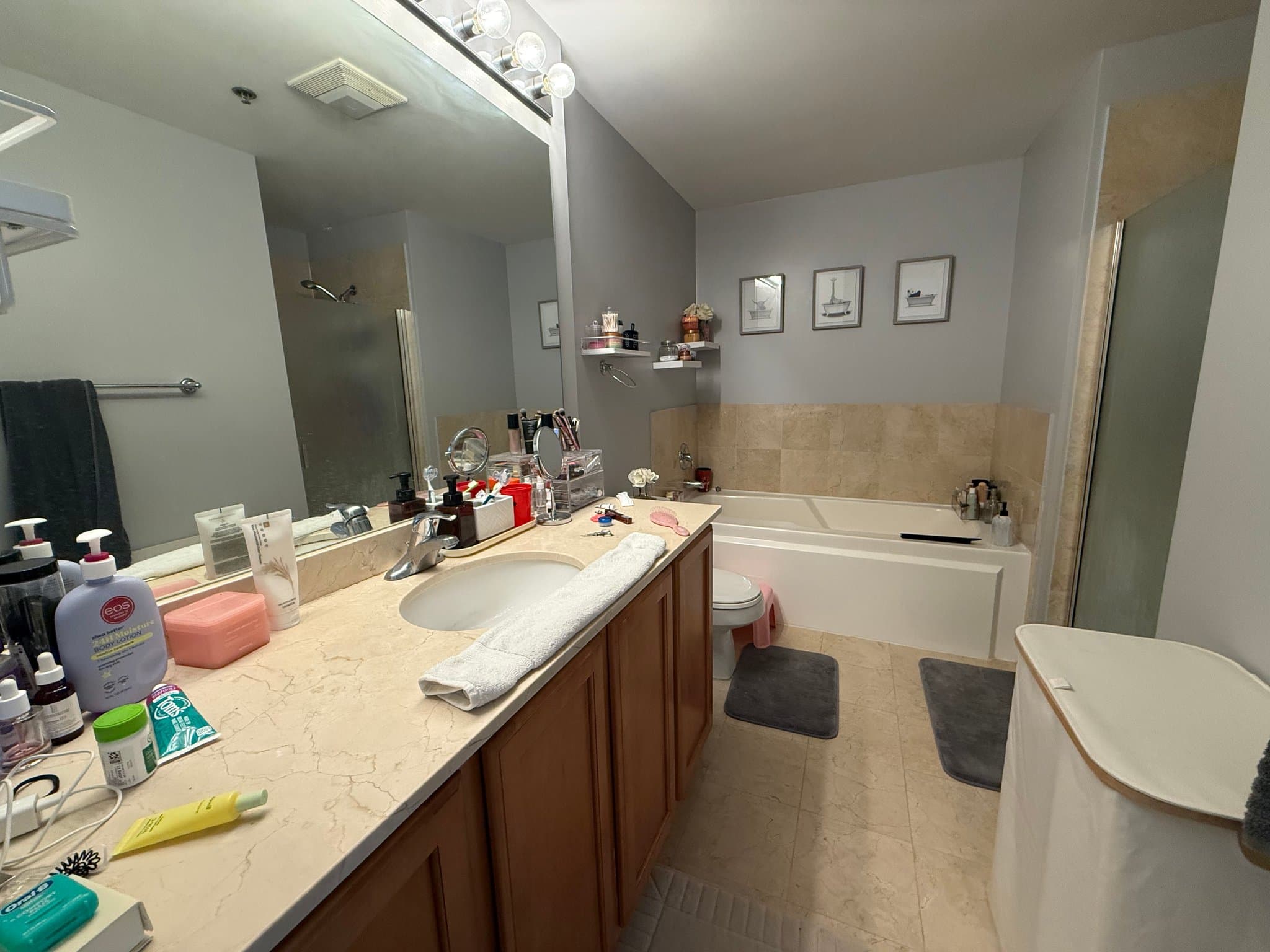 Chicago Condo: 210 S Desplaines