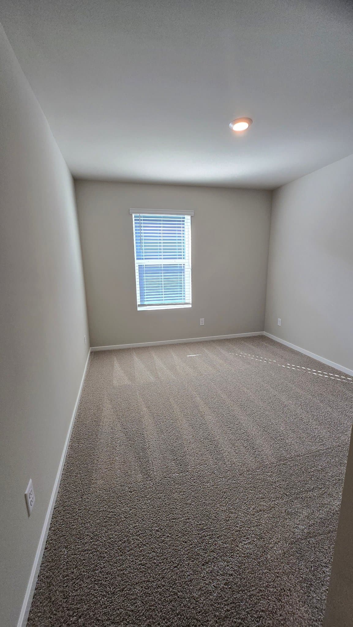olympia House: 3923 23rd Ave NE