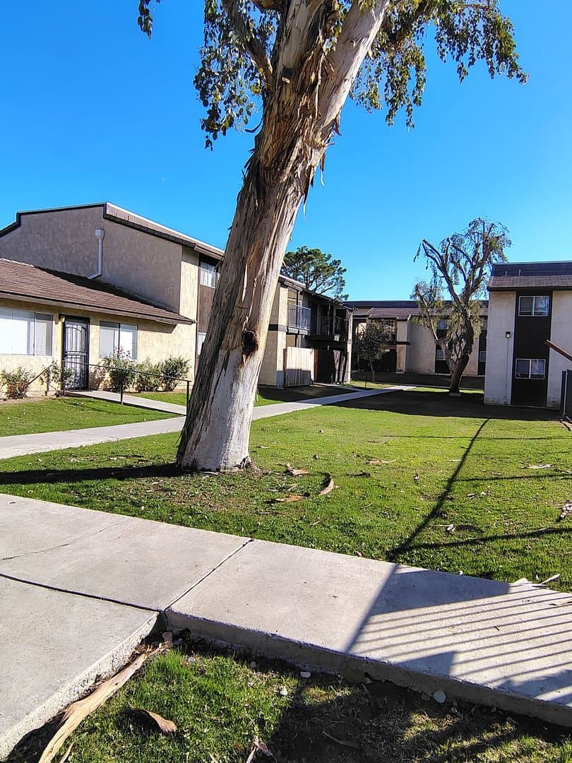 Bakersfield Single Room: 2401-013 Christmas Tree Ln