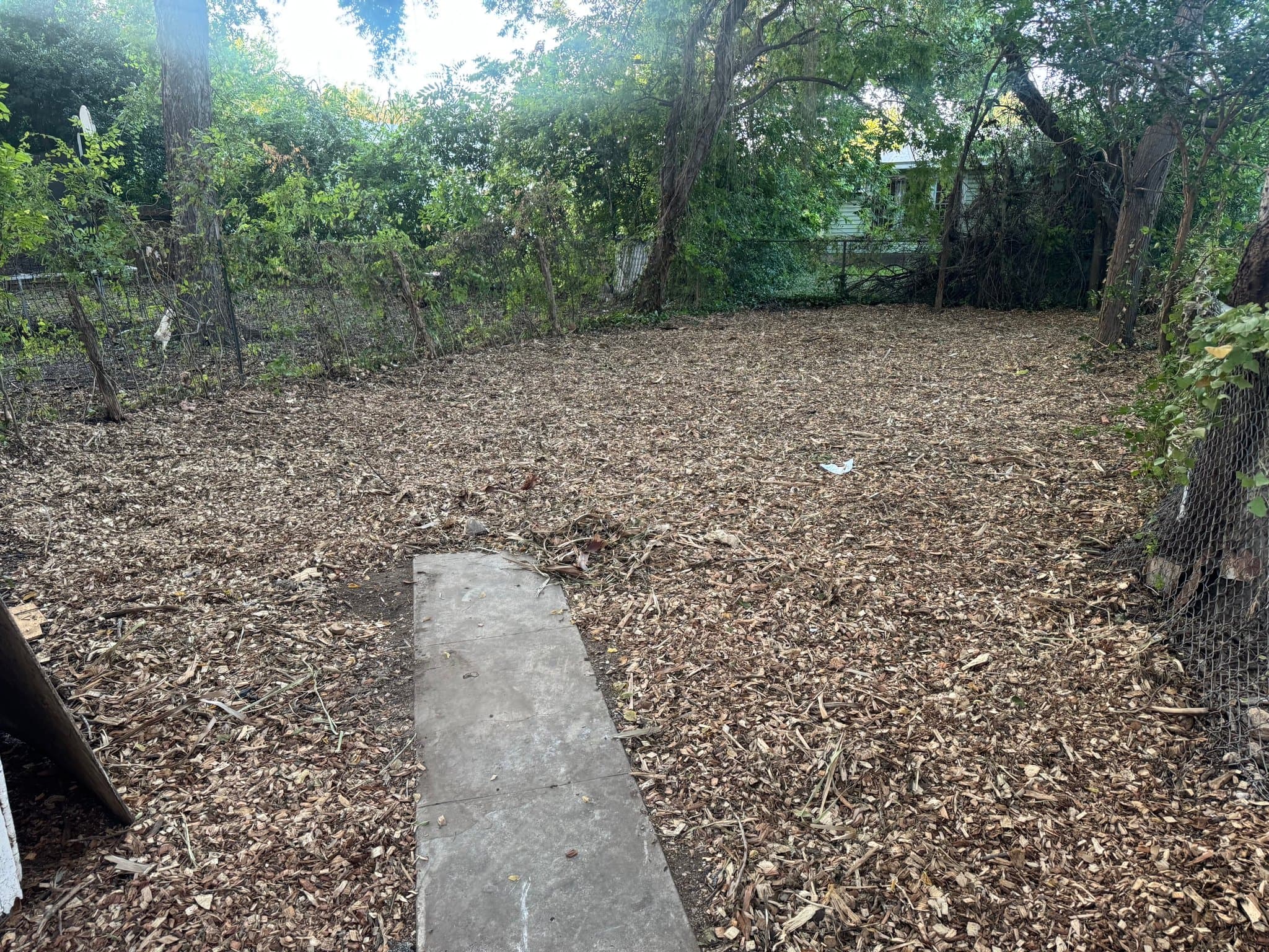 San Antonio House: 629 Potomac