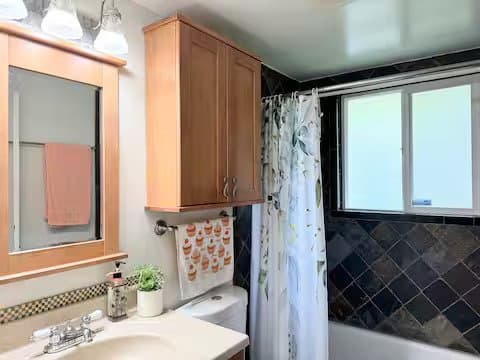 Sammamish Other: 920 210th Ave NE