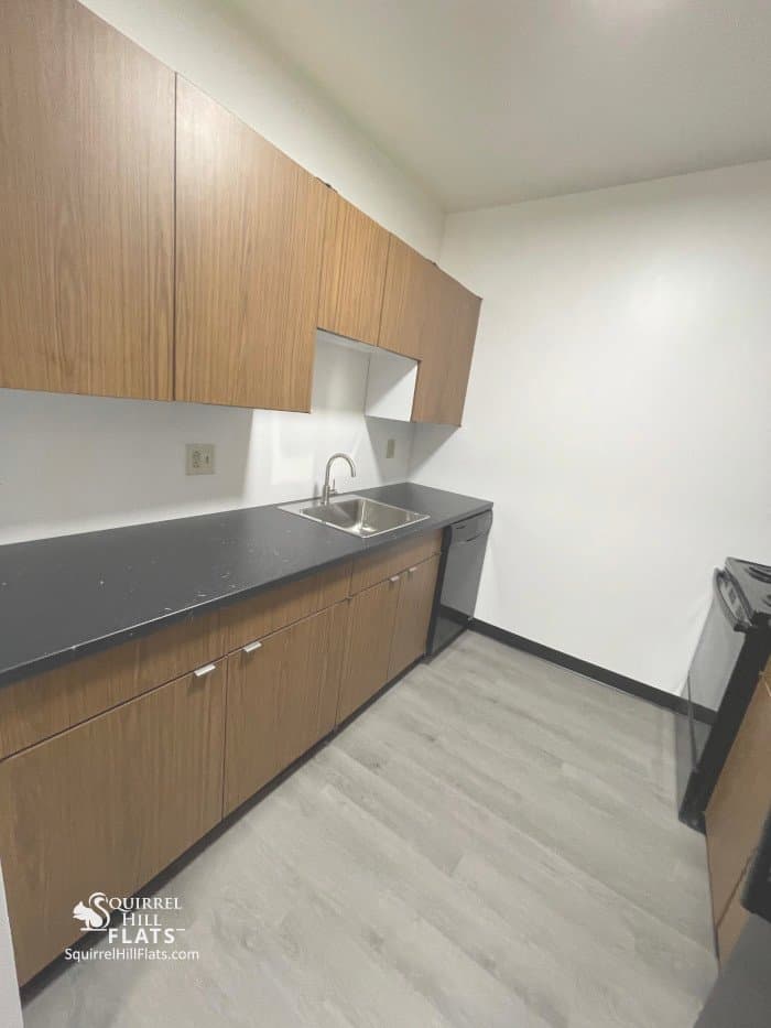Pittsburgh Apartment: 6350 Forward Ave