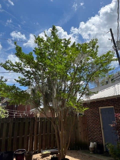 Savannah Other: 21 E 34th St