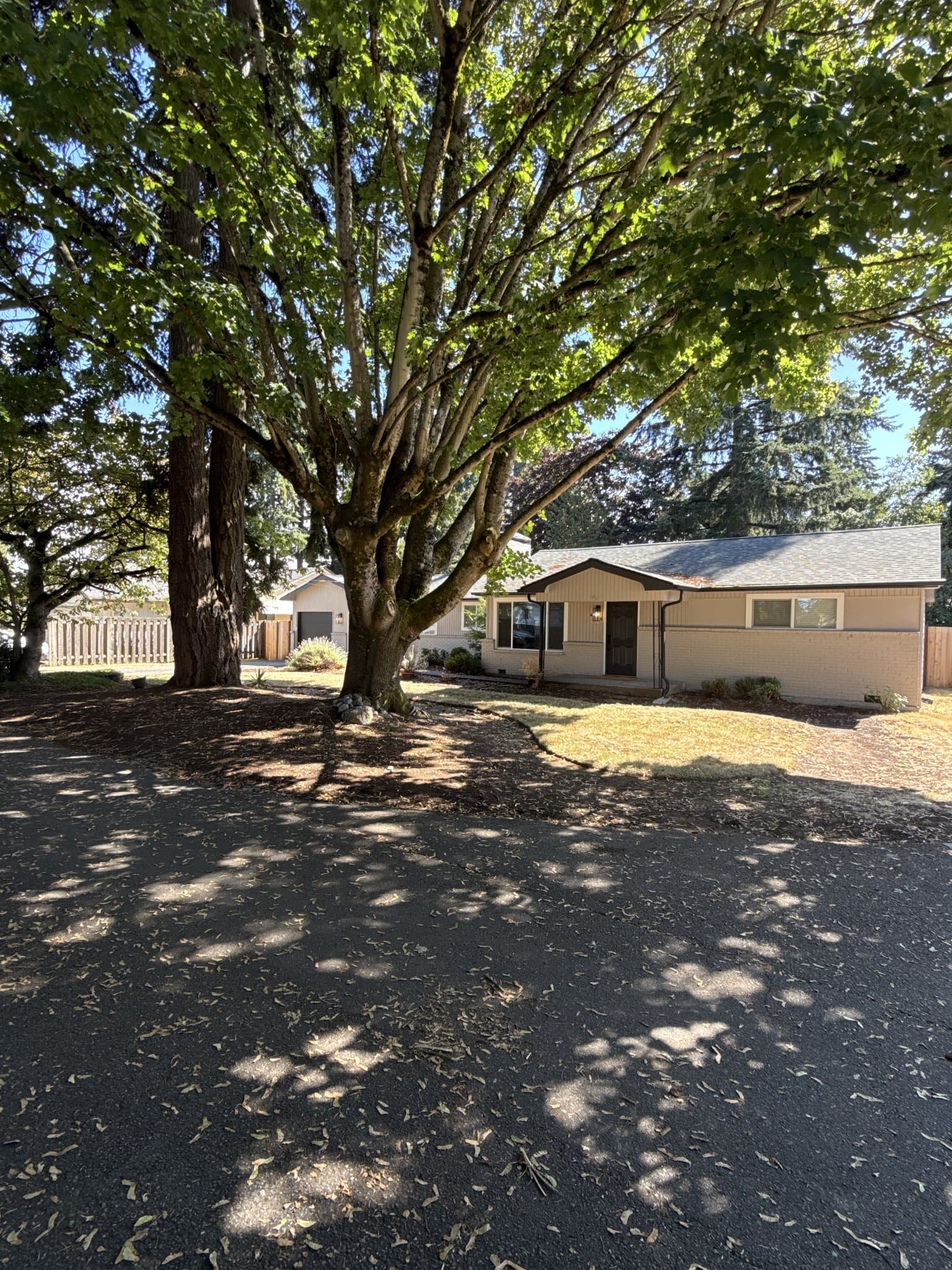 SeaTac House: 4239 S 184th PL