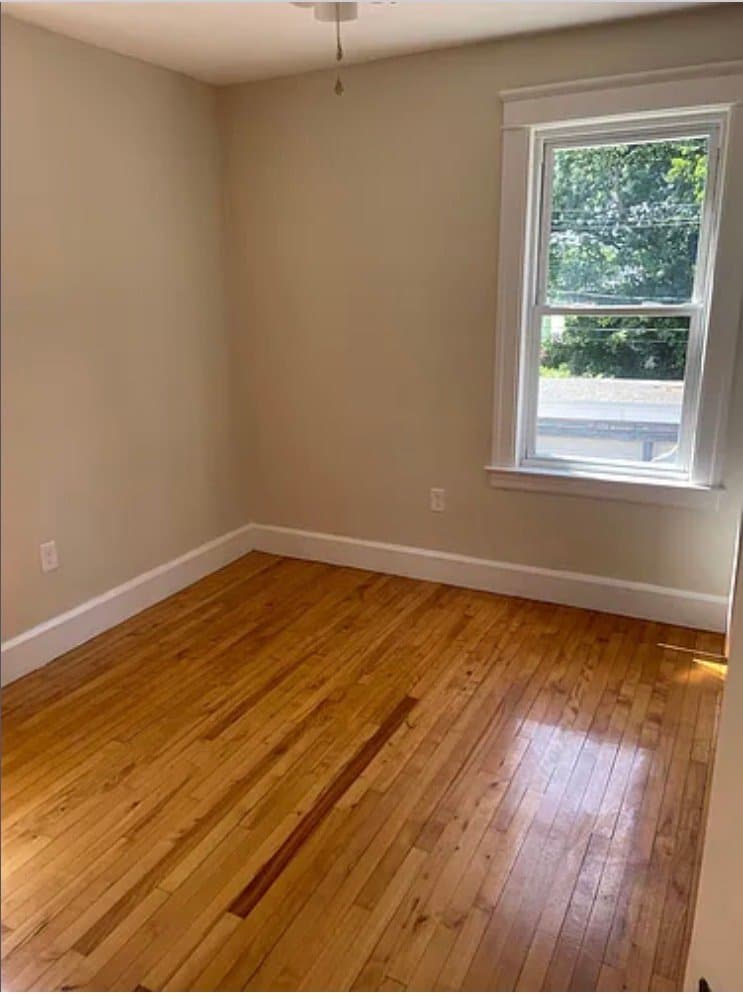 Worcester Apartment: 40 Abbott St