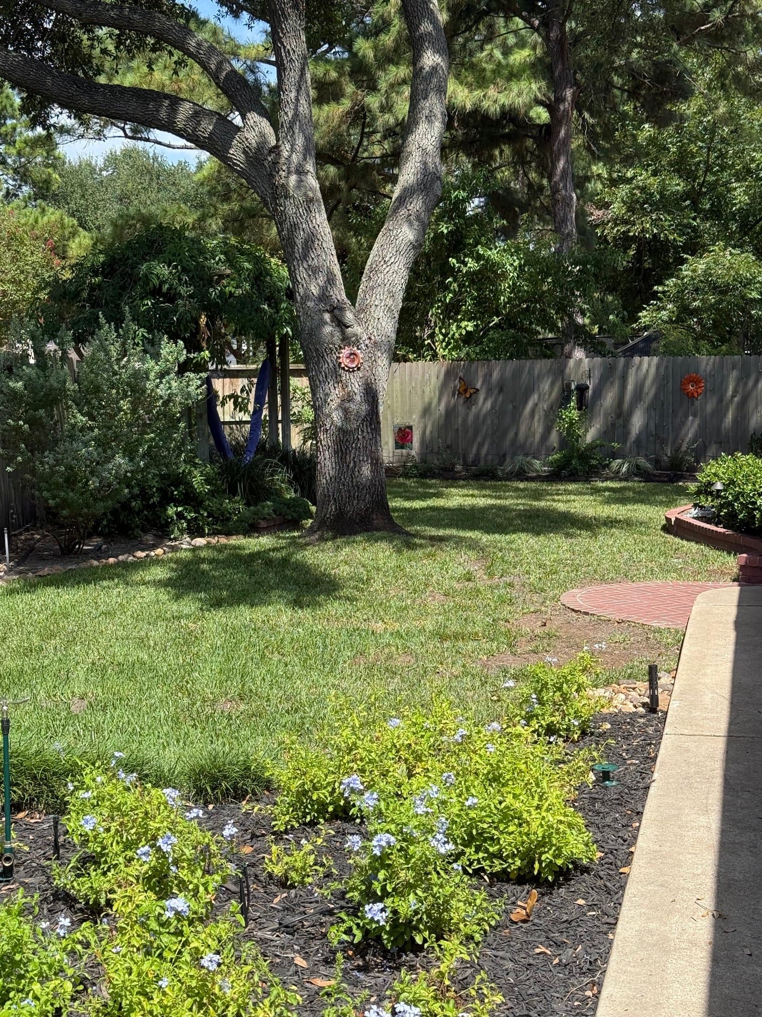 Houston Single Room: 17303 Amber Creek Ct