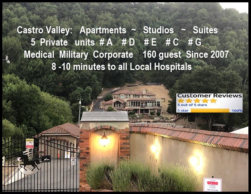 Castro Valley Other: 25651 Palomares Rd