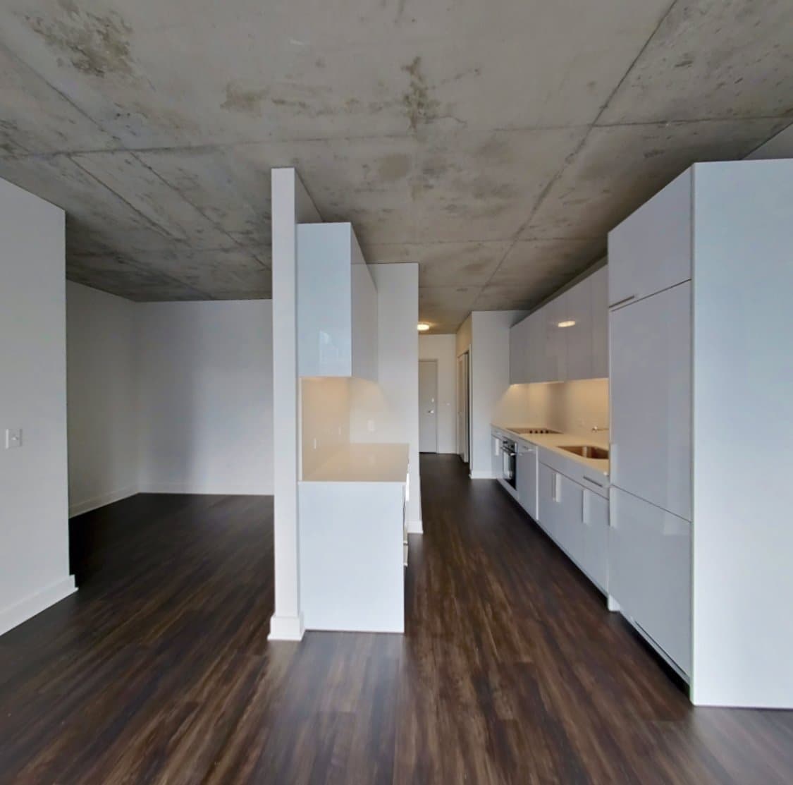 Chicago Condo: 505 N Franklin St