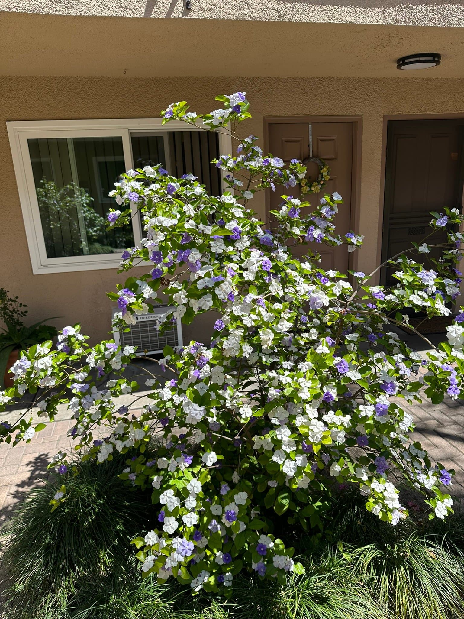 Azusa Apartment: 1181 E. Hollyvale Street