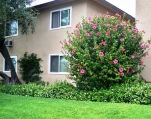 Azusa Apartment: 1181 E. Hollyvale Street