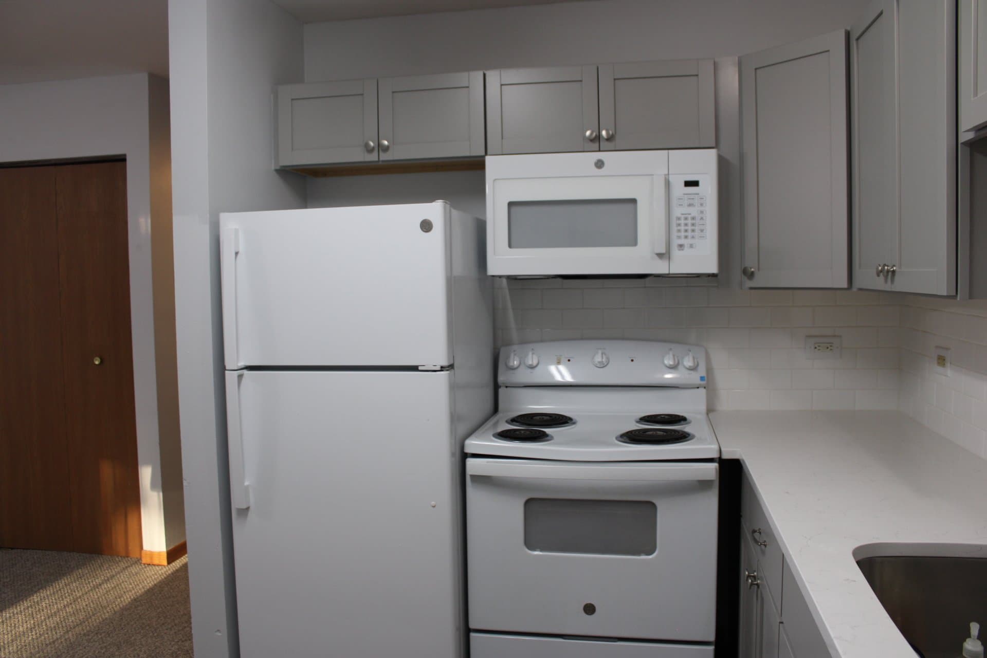 Glendale Heights Condo: 1003 Spruce St