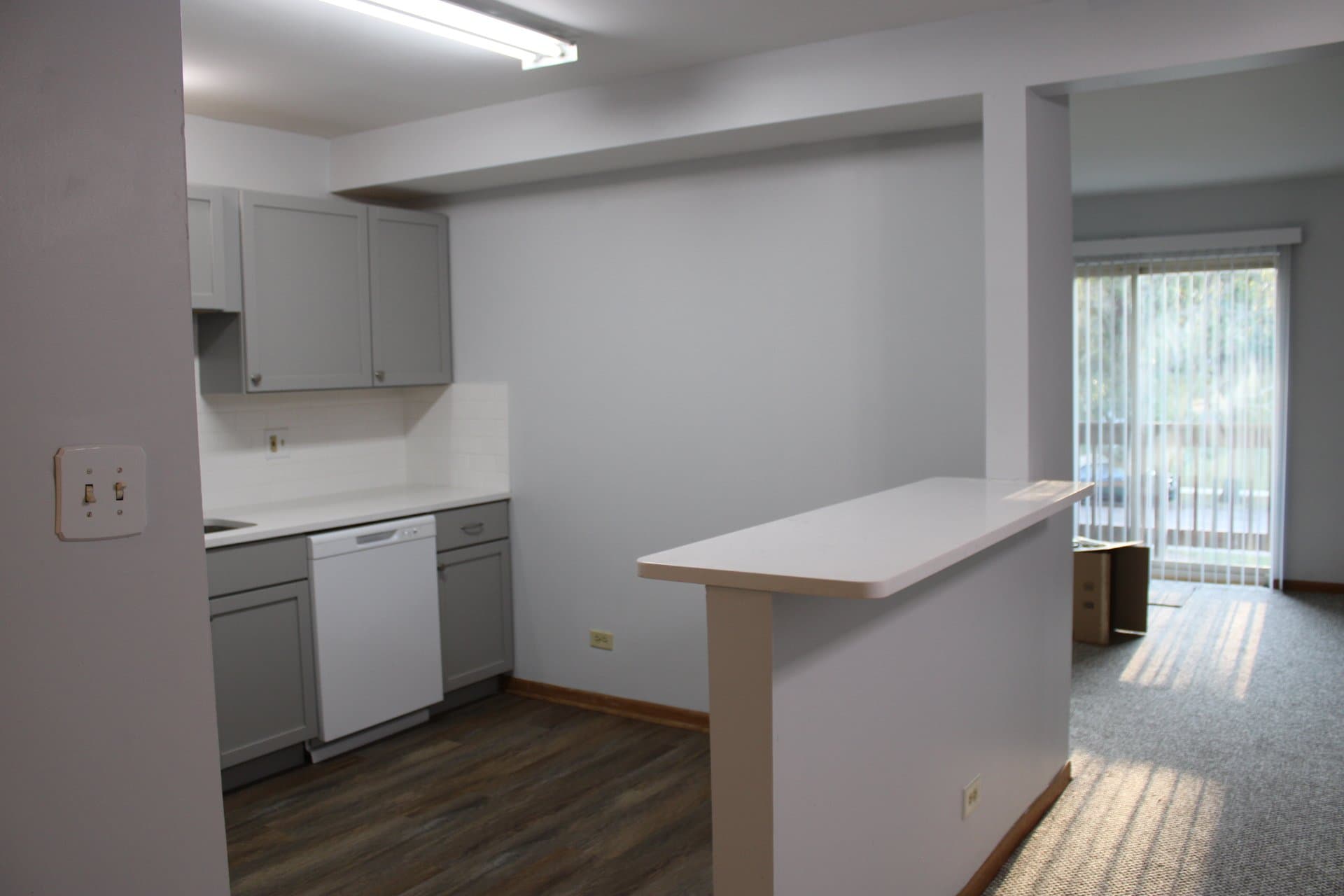 Glendale Heights Condo: 1003 Spruce St