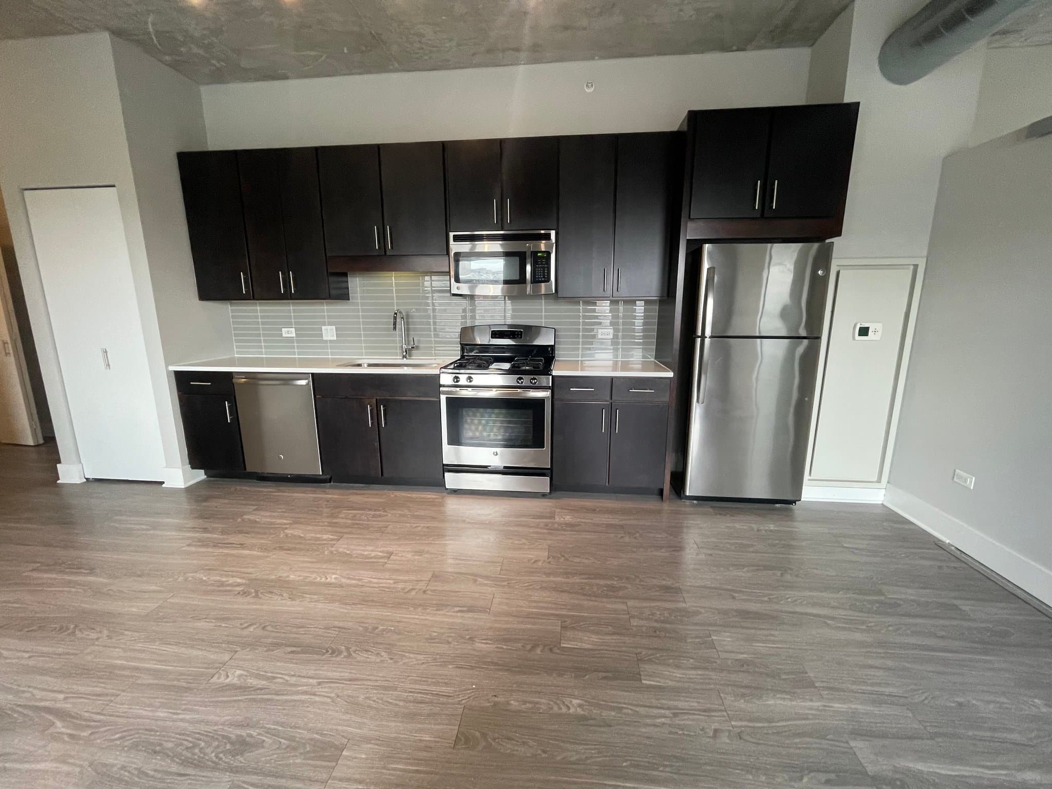 Chicago Condo: 106 W Polk St
