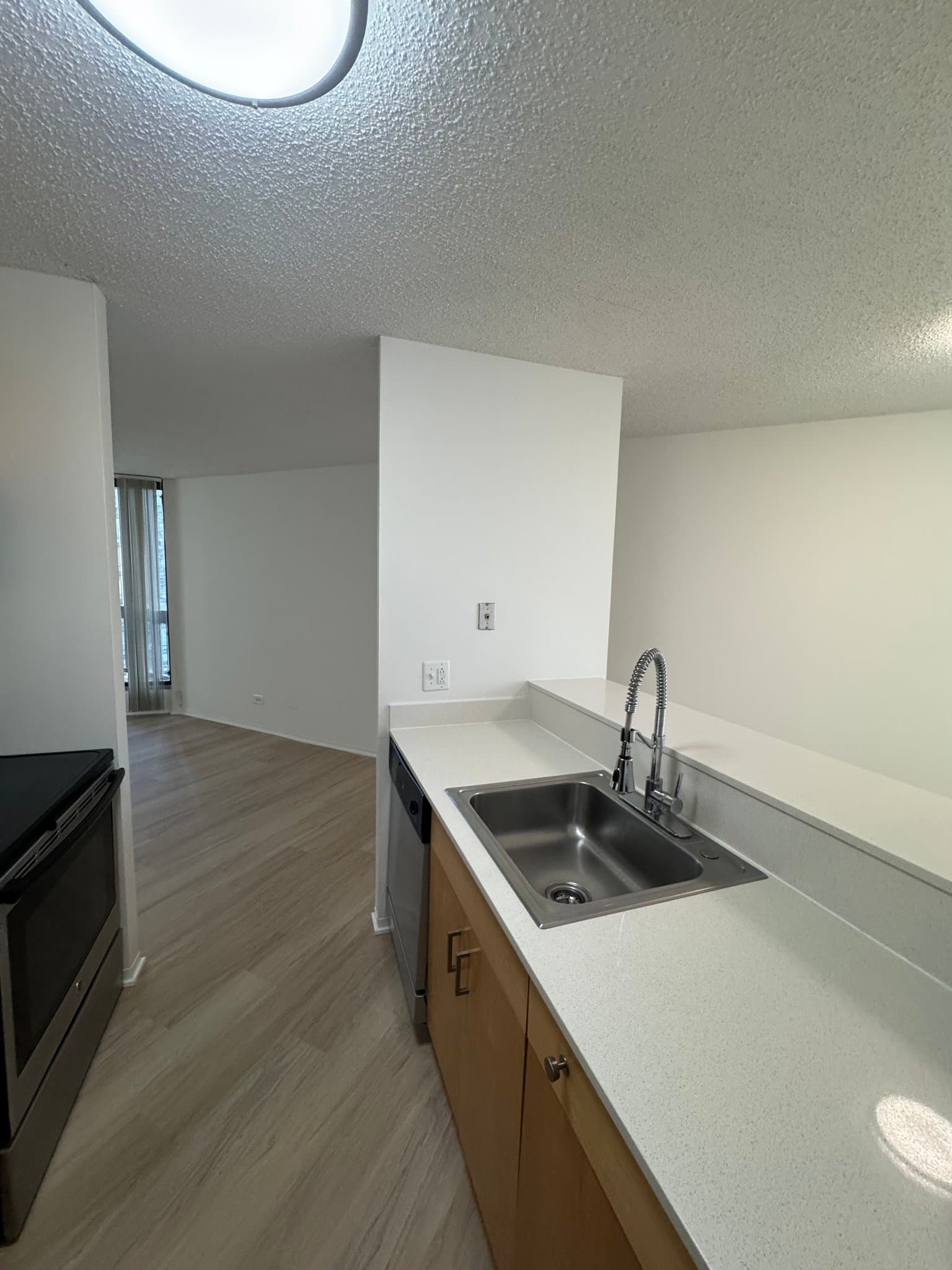 Chicago Condo: 41 W Chicago