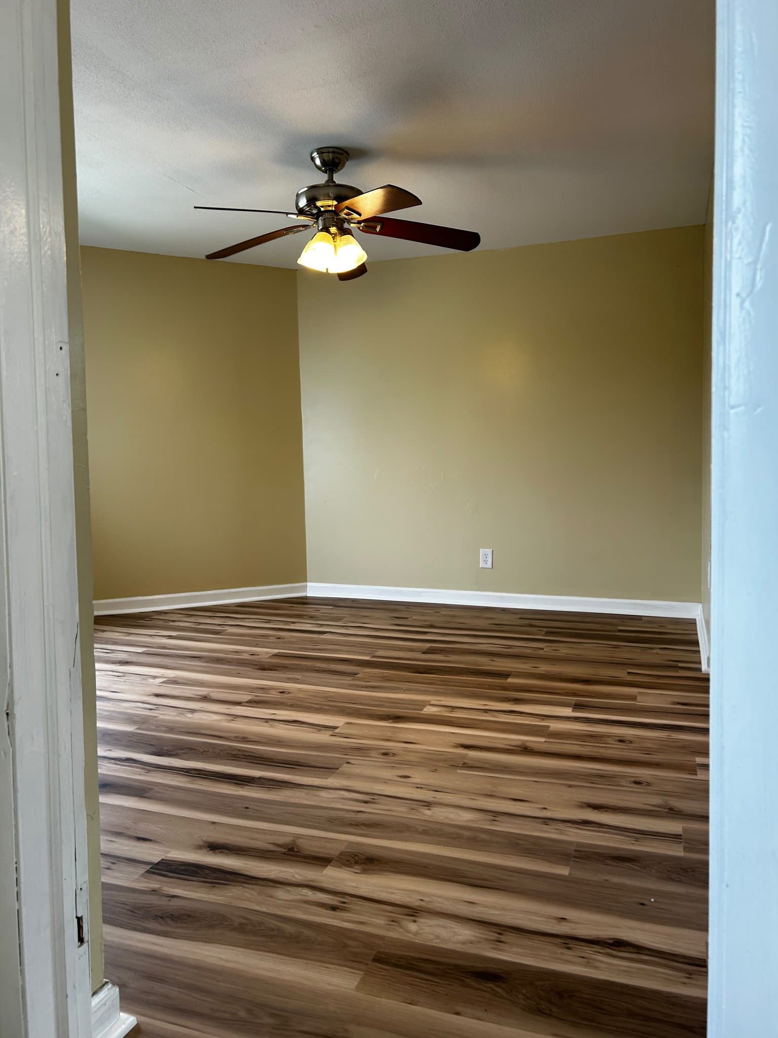 Carbondale Apartment: 41 Fallbrook St